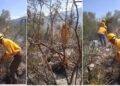Acciones permanentes de contención de incendios forestales