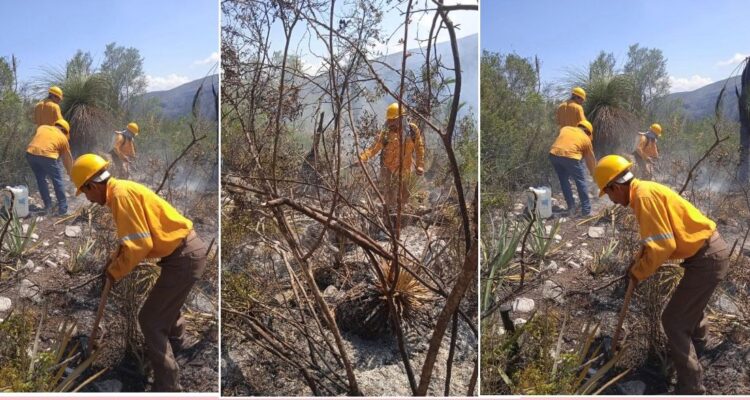 Acciones permanentes de contención de incendios forestales