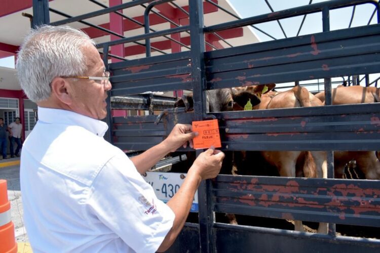 Firman convenio para movilización de productos agropecuarios, forestales y pesqueros
