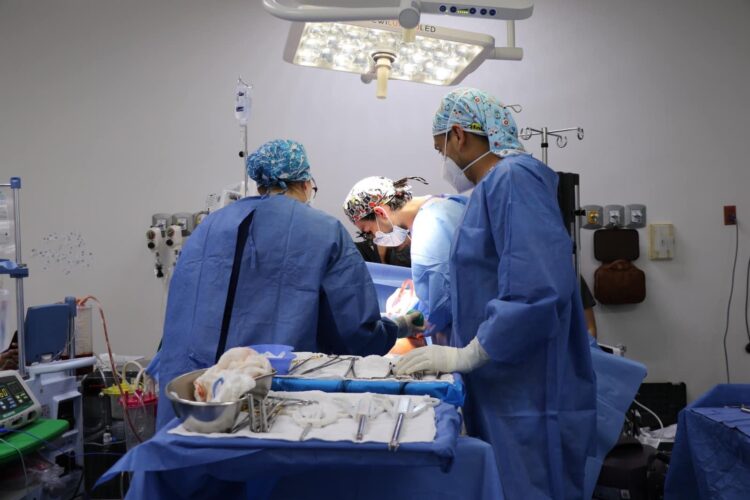 Se eleva a seis los pacientes infectados con el hongo fusarium solani:Salud