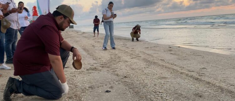 Refuerza Comisión de Parques y Biodiversidad patrullajes en campamentos tortugueros