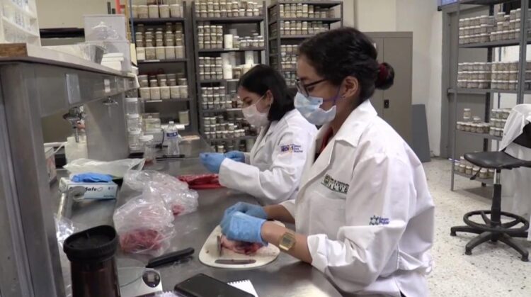 Participará la UAT en proyectos con universidades de Estados Unidos