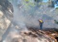 Protección Civil Tamaulipas y CONAFOR extinguen incendio forestal en San Carlos