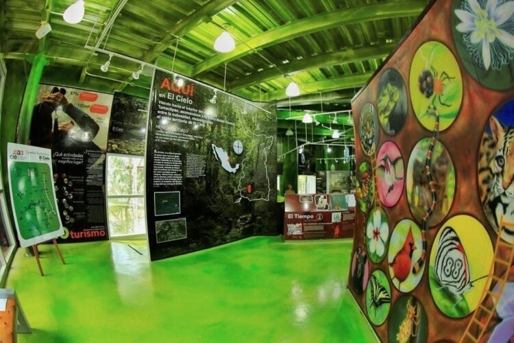 Disfruta las maravillas naturales en el Parque Ecológico Biósfera El Cielo