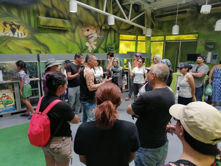 Expone Parque Ecológico de la Biósfera El Cielo especies de reptiles y anfibios a la población
