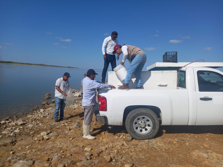 Fortalece Gobierno de Tamaulipas actividad pesquera