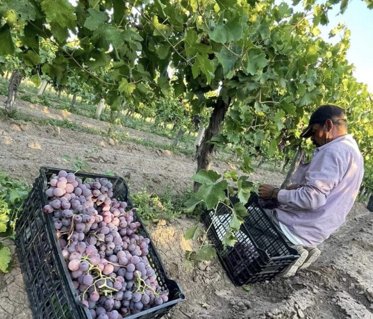 Independencia económica para tener independencia política: Carlos Martínez