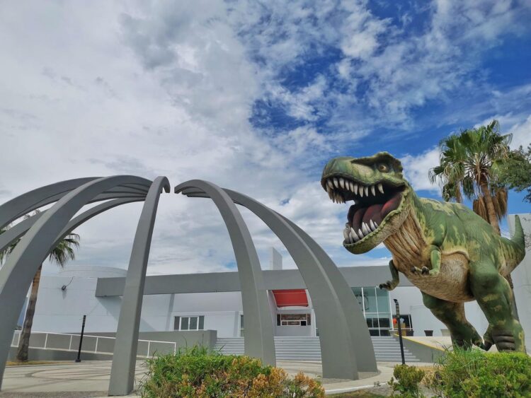 Ofrece Tamux sorpresas de fin  de semana y nuevos talleres