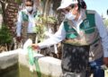Exhorta IMSS Tamaulipas a reforzar medidas contra dengue