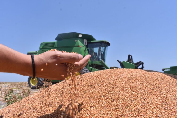 Inicia Tamaulipas dispersión de recursos del “Programa de Fomento a la Producción Rural