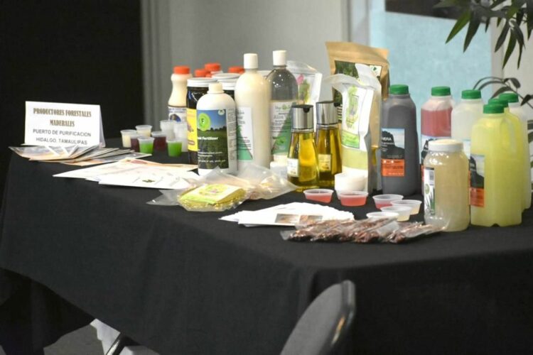 Agroproductores tamaulipecos a un paso de exportar a Estados Unidos