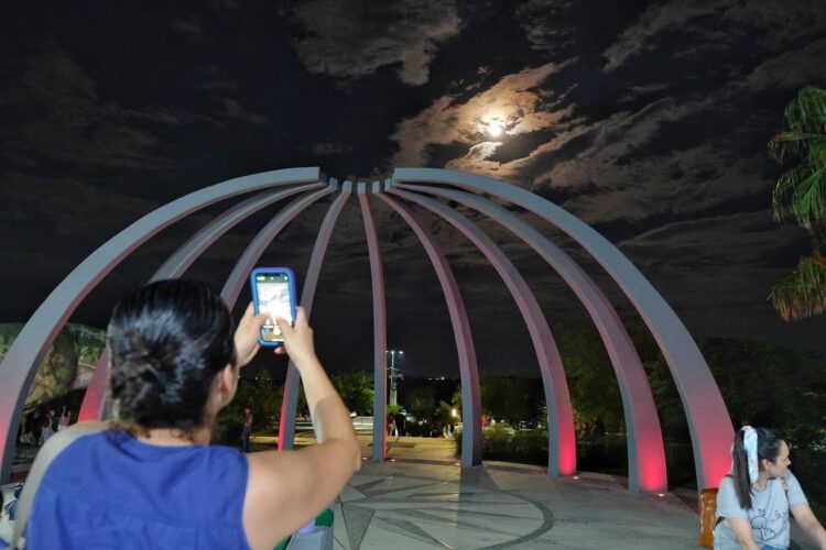 Invitan a vivir la magia de la navidad en el Tamux