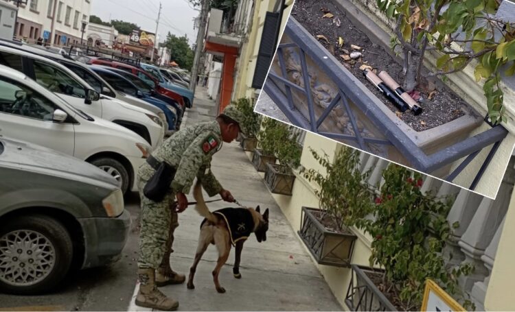 Detectan artefactos de pirotecnia en Victoria