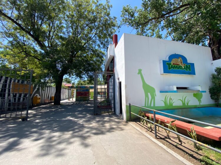 Este viernes arranca “Buu en el Zoo”, el recorrido más espeluznante