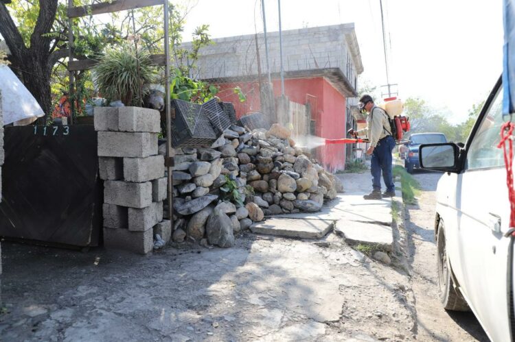 Confirma Salud 150 casos de dengue