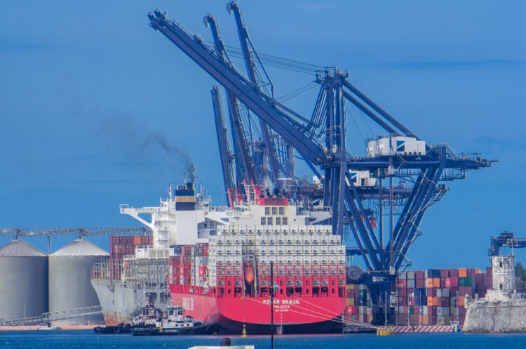 Suben 4.62% las exportaciones agroalimentarias y bajan importaciones en enero-noviembre