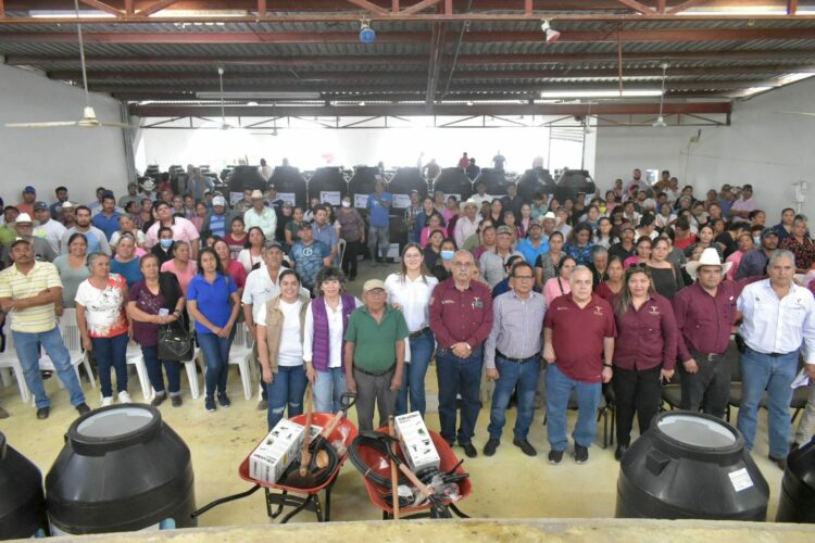 Huertos de traspatio: alimento saludable para las familias rurales