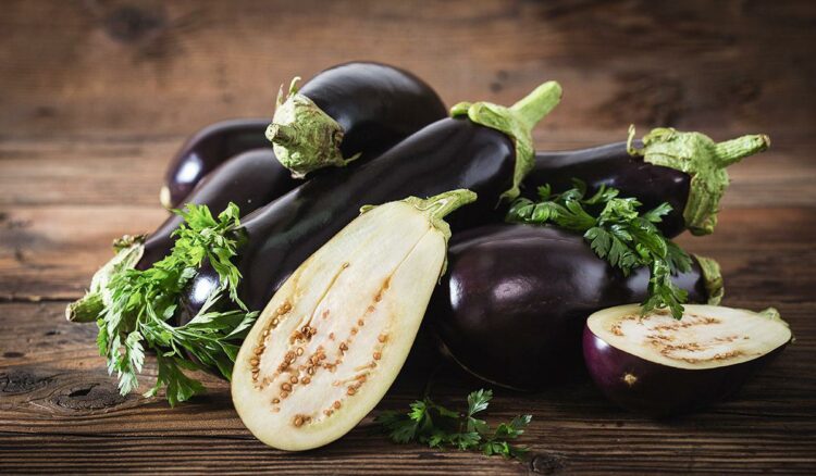 Destaca México como tercer exportador de berenjena