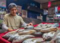 Disponibles más de 100 especies de pescados y mariscos para la temporada