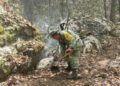 Con 240 hectáreas consumidas, concluye incendio en Sierra de Hidalgo