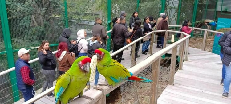 De Tamaulipas para el mundo, Biósfera de El Cielo: Eduardo Rocha Orozco