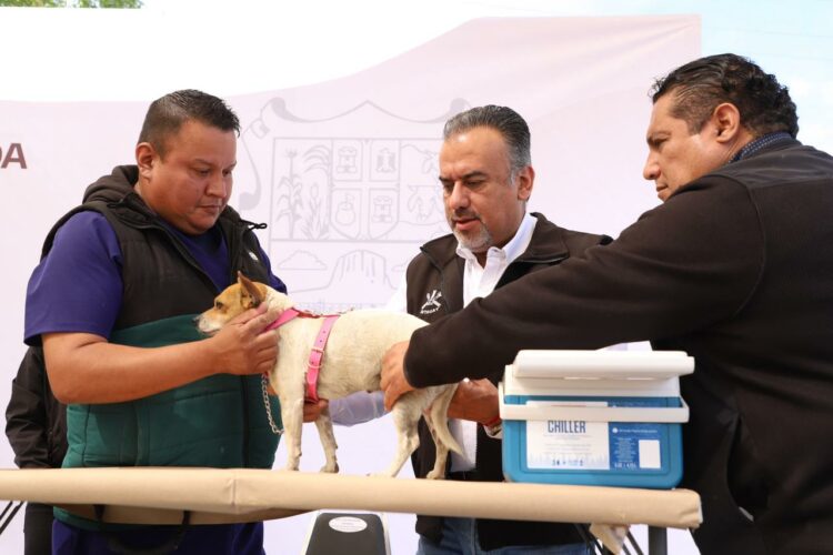 ARRANCA JORNADA NACIONAL DE VACUNACIÓN ANTIRRÁBICA CANINA Y FELINA 2024