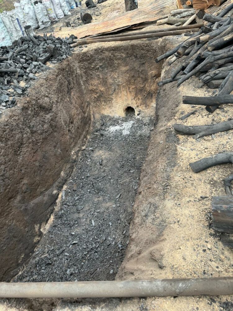 Aseguran centro ilegal de carbón