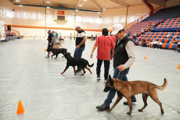 Inaugura Damaso Anaya curso de adiestramiento canino K-9