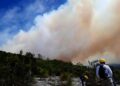 Extinguen incendios forestales en Mante y Miquihuana