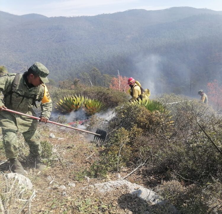 Dos incendios activos consumen más de 136 hectáreas, Ejército aplica plan de apoyo
