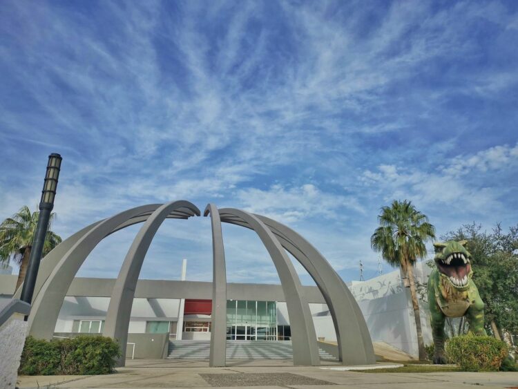 Talleres, películas y más en el TAMUX