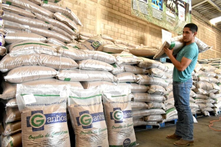 Autoriza Gobierno de Tamaulipas programa emergente para ganaderos afectados por la sequía