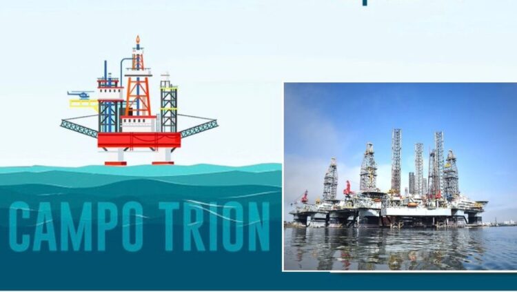 Proyecto Trion en Tamaulipas es  superior a los 11 mil mdd: Energía