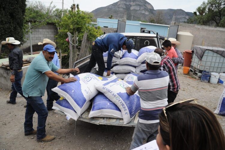 Reciben productores del altiplano semilla de avena forrajera