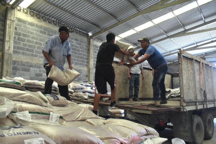 Productores de González reciben suplementos alimenticios para el ganado
