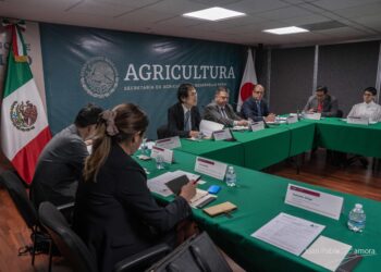 Cuenta México con potencial para ampliar mercado de cárnicos a Japón: Agricultura
