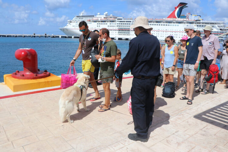 Invita Agricultura a informarse sobre alimentos con restricción de ingreso al país