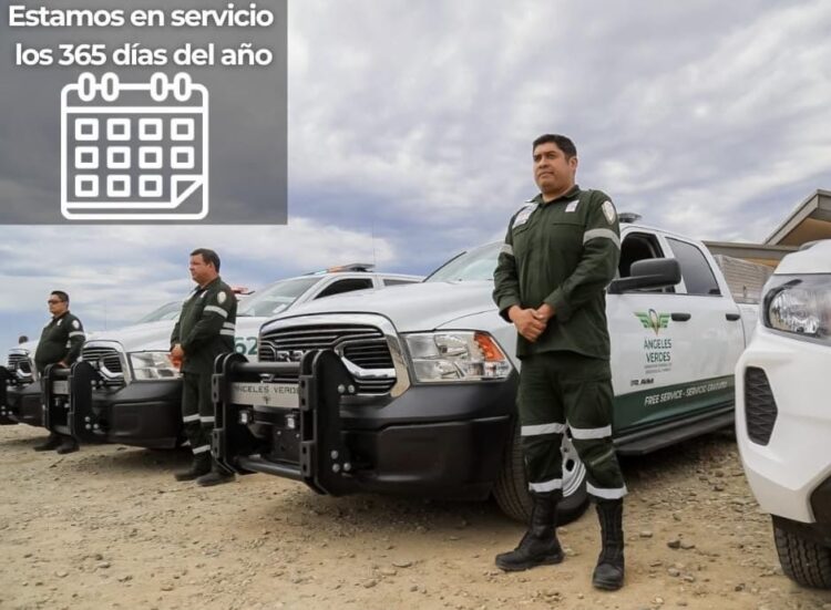 Fortalecen presencia de Ángeles Verdes para apoyar a turistas en carreteras de Tamaulipas