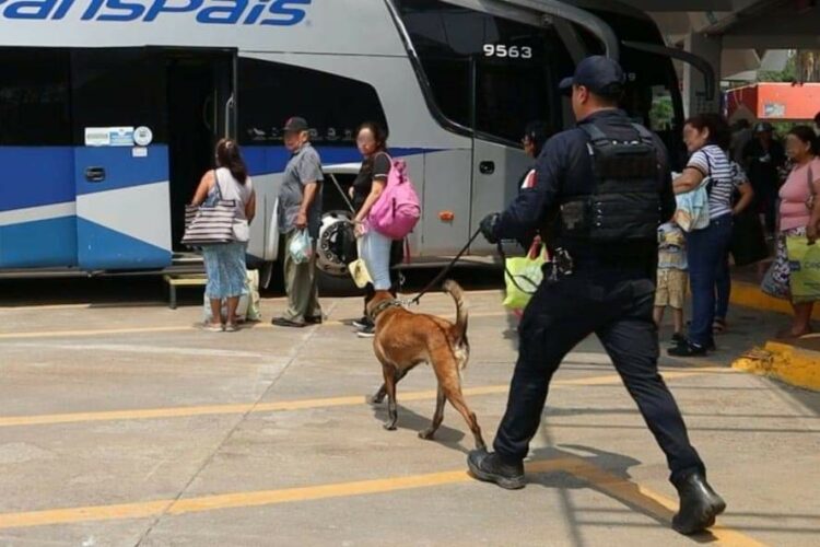 Vigila Guardia Estatal centrales de autobuses