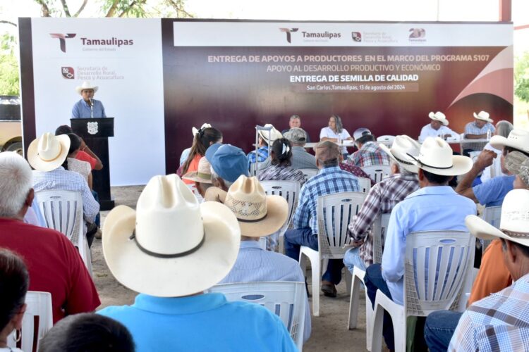 Impulsa Tamaulipas siembra de sorgo y maíz con la entrega de semilla de calidad