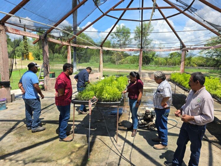 Presenta Desarrollo Rural programas de apoyo para productores agropecuarios y forestales