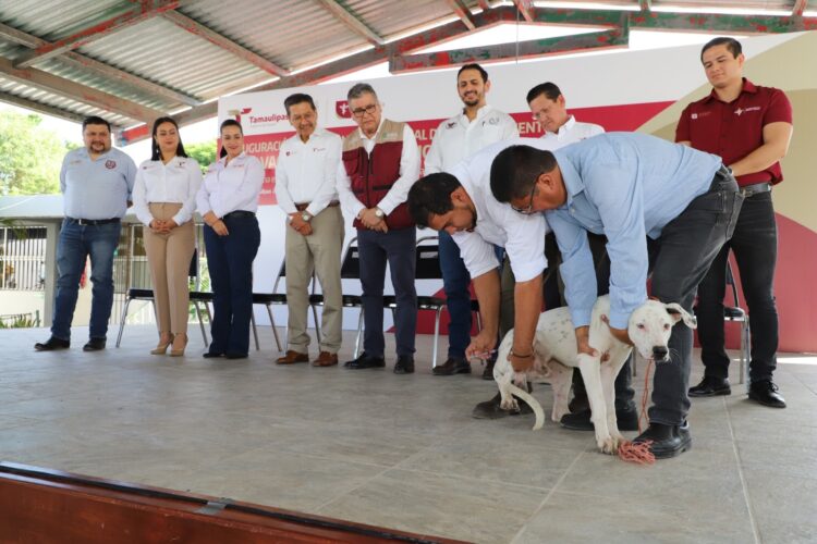 Pide SST vacunar perros y gatos en el marco de la Jornada de Vacunación Antirrábica