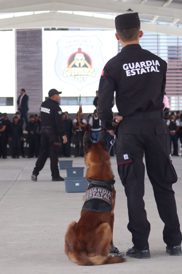 Realizan en la USJT exhibición de agrupamientos canino y montada de la SSPT