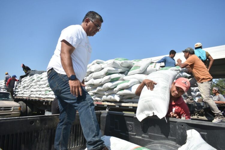 Entrega Gobierno de Tamaulipas 280 toneladas de fertilizante a productores citrícolas