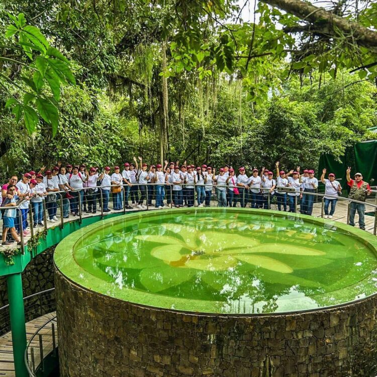 Disfrutan más de 800 personas turismo social: SECTUR