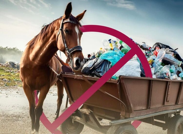 Alberto Granados, anuncia regulación y eliminación de carretoneros en Matamoros para combatir contaminación y maltrato animal