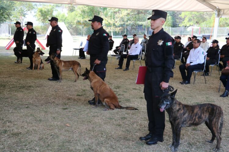 SSPT despide con honores a caninos retirados del servicio activo