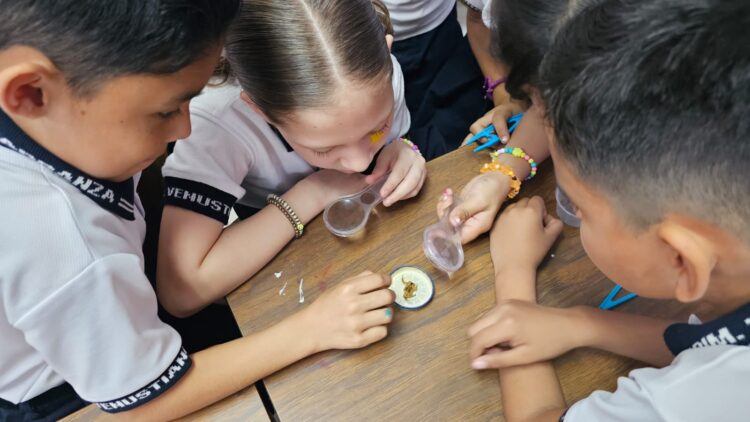Celebraron escuelas el Día Internacional de la Mujer y la Niña en la Ciencia