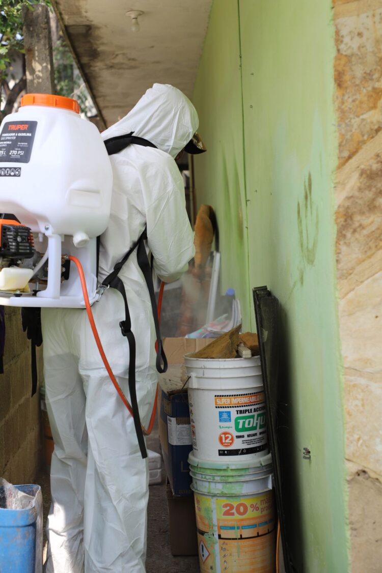 Aplica SST estrategia preventiva contra el dengue: elimina criaderos