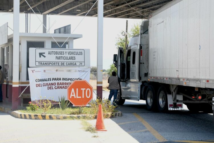 Coordinan esfuerzos Estado y Federación contra el gusano barrenador